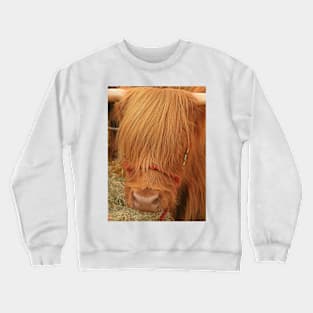 Fringe Festival, September 2022 Crewneck Sweatshirt